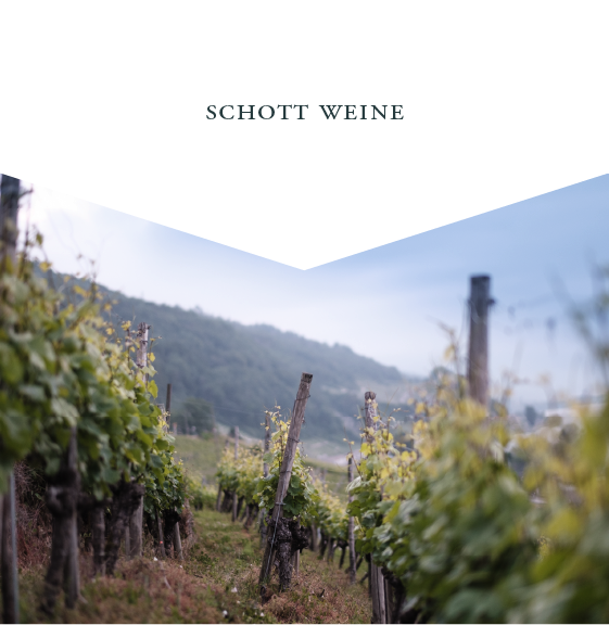 Schott Weine Tradition