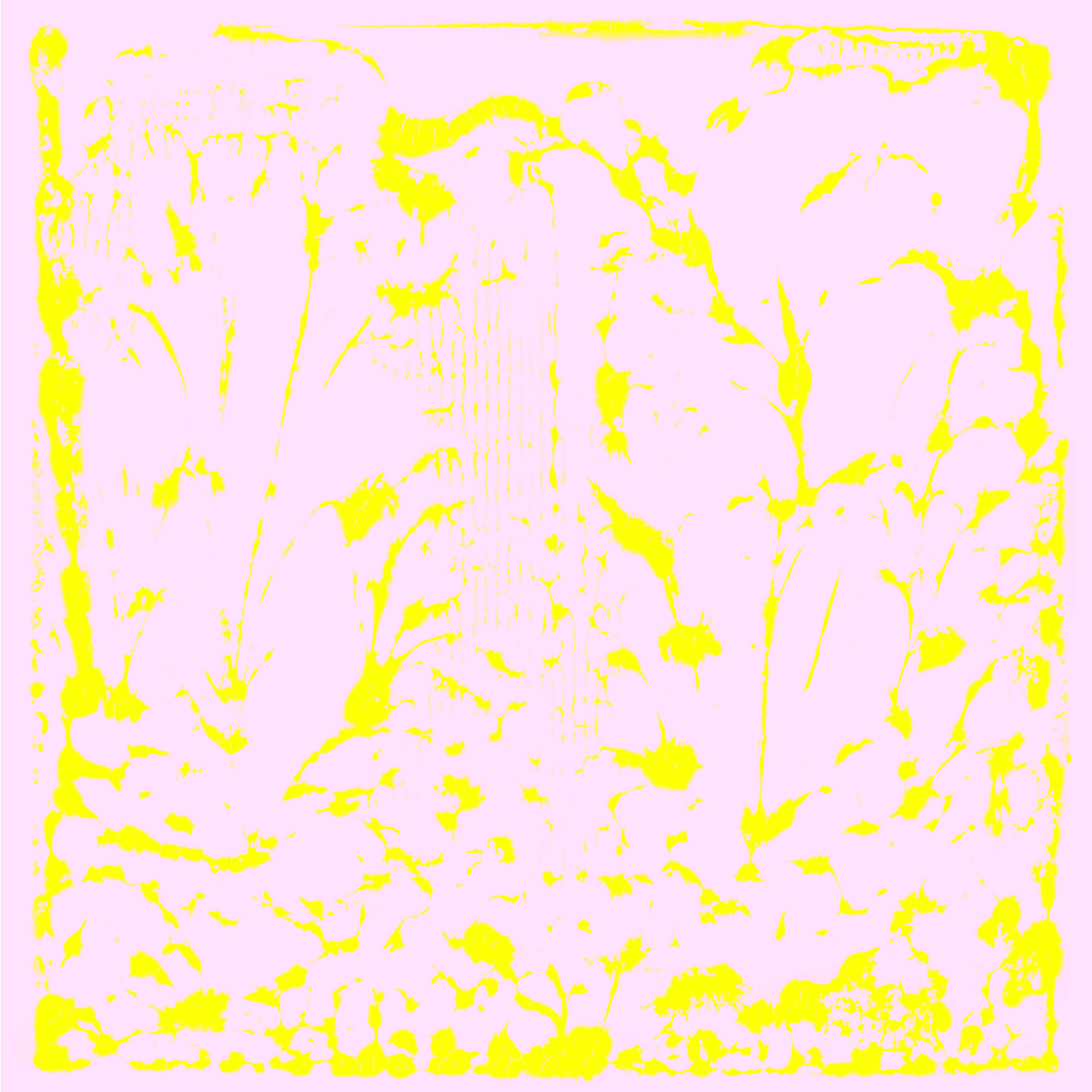 Leichtes aus dem Rebgarten von Anne-Claire Schott